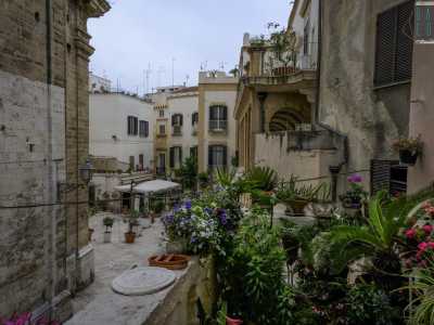 ...una colorata terrazza che da secoli si affaccia maestosa sul centro storico di Bari